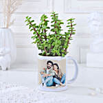 Jade Plant Sentimental Mug Arrangement