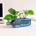 Money Plant Terrarium in Antiquity Bottle