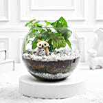 Serene Syngonium in Glass Vase