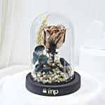 Radiant Forever Golden Rose