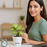 Air Purifying Syngonium Plant In Green Pot