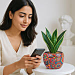 Radiant Resilience Sansevieria