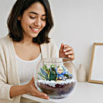 Jade N Milt Sansevieria Plant Glass Vase Terrarium