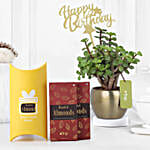 Luxe Leafy Birthday Gift Combo