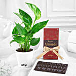 Prosperity N Delight Duo