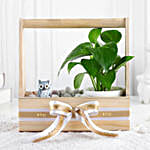 Wealth N Charm Money Plant Set