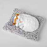 Adorable Sleeping Kitty Plush