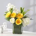 Morning Light Blooms