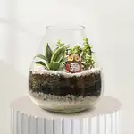 Emerald Haven Glass Garden