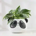 Panda Whisper Jungle Pot