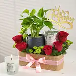 A Little Garden of Love
