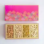 Bird Illustrated Dry Fruits Box By Kesar