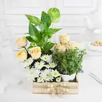 Green Babies N Floral Beauties Gift Tray