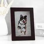 Pet Love Personalised Frame