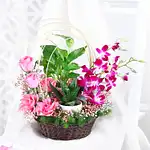Tranquil Orchid and Greenery Gift