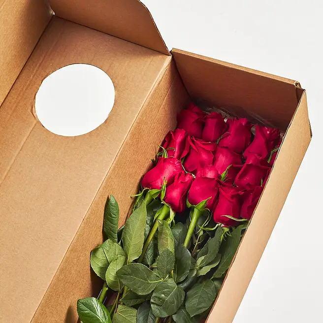 Eternal Love Red Roses singapore | Gift Eternal Love Red Roses- FNP