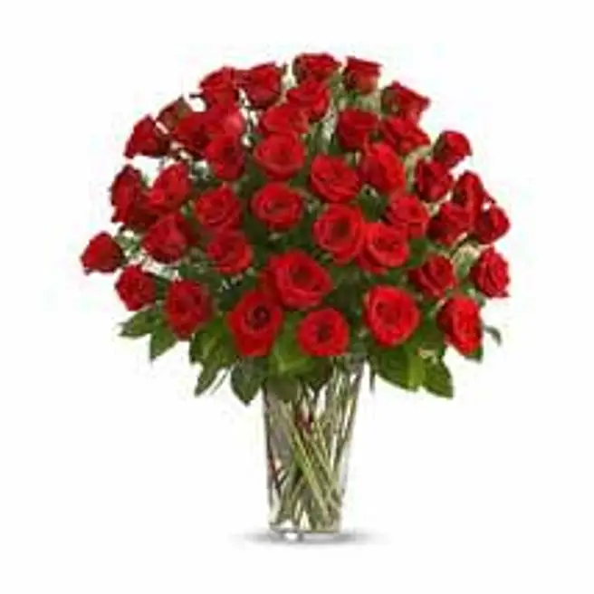 501 Red Roses 50 Red Roses uae | Gift 50 Red Roses- FNP