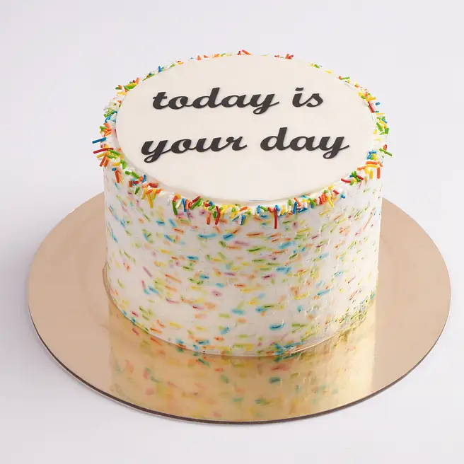 Special Moments Celebration Chocolate Cake 1Kg Eggless