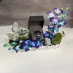 Titan Neo Splash Blue Dial Analog Quartz Watch for Men Gift for Him With Flowers