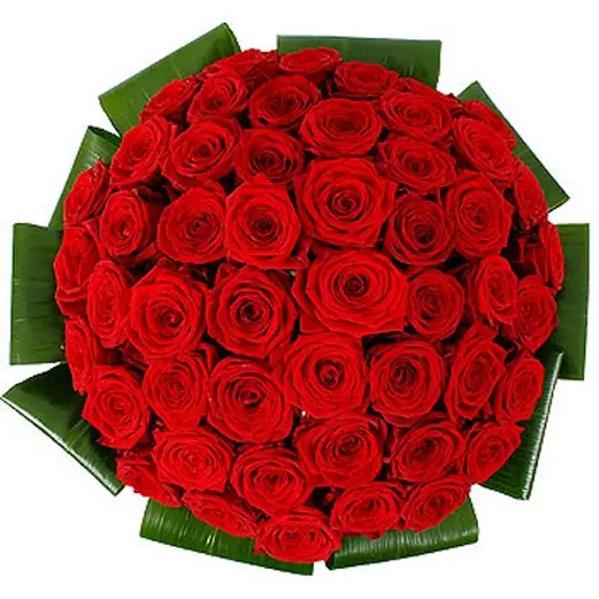 59 Roses Mass Of Fifty Red Roses uk | Gift Mass Of Fifty Red Roses- FNP