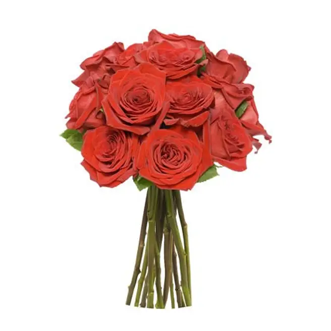 Eightin Roses 18 Red Roses usa | Gift 18 Red Roses- FNP