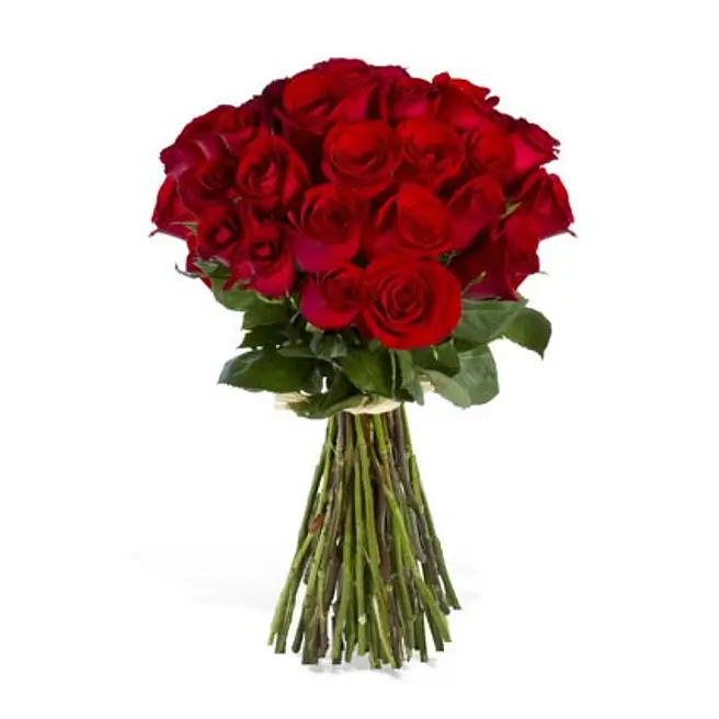 24 Red Roses usa | Gift 24 Red Roses- FNP