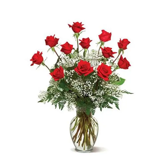 Point Roses Deluxe A Dozen Deluxe Roses usa | Gift A Dozen Deluxe Roses- FNP