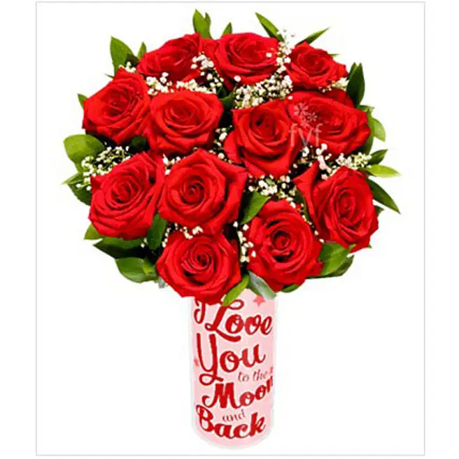 12 Long Stemmed Red Roses usa | Gift 12 Long Stemmed Red Roses- FNP