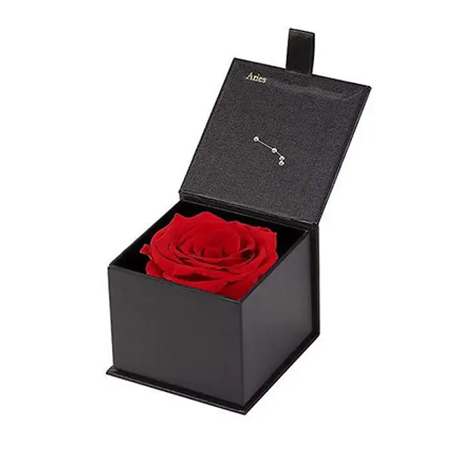 Eternal Rose Aries Box Red