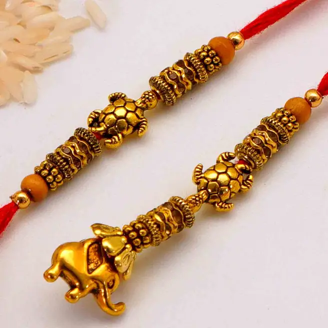 Turtle Raki Artistic Turtle Rakhi And Lumba Set usa | Gift Artistic Turtle Rakhi ...