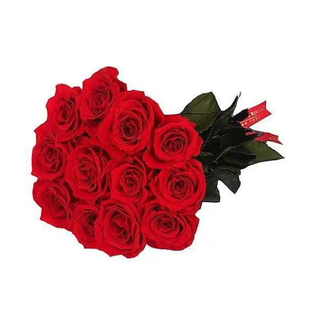 Ten Eternal Roses Eternal Roses Bunch usa | Gift Eternal Roses Bunch- FNP