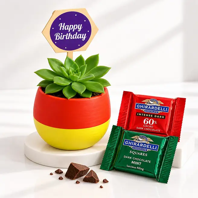 Birthday Echeveria N Chocolate Combo