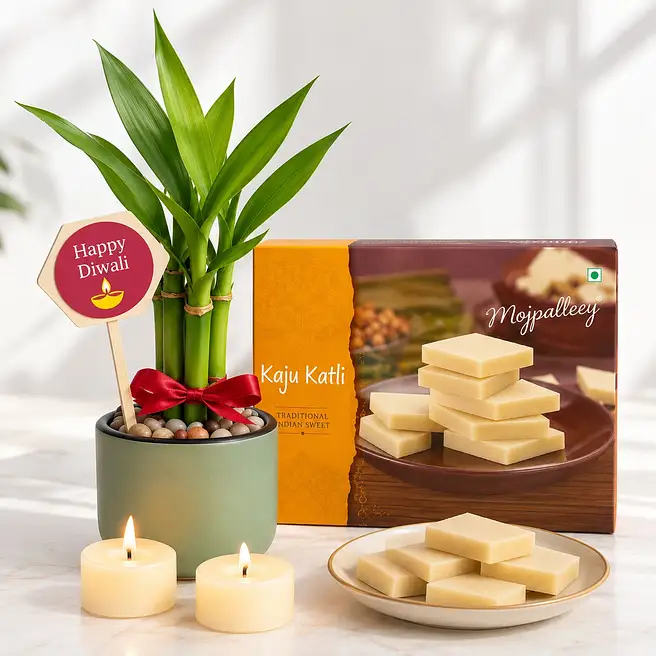 Lucky Bamboo Diwali Gift Set