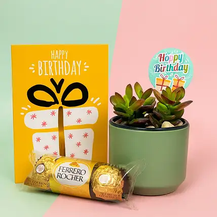 Birthday Jade Succulent Gift Box with Chocolates