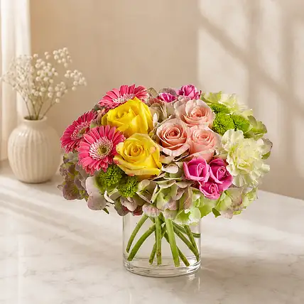 Bright Beautiful Stems Regular