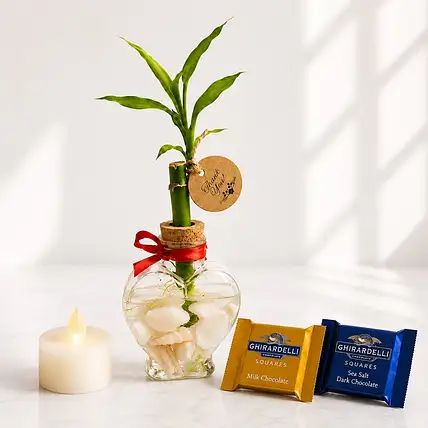 Bamboo Glow Gift