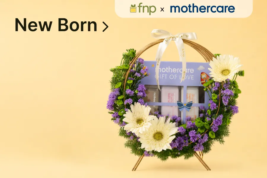 View new born