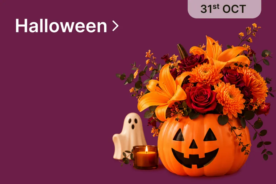 View halloween