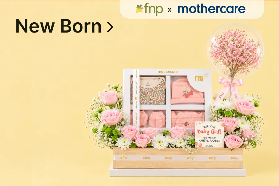View new born